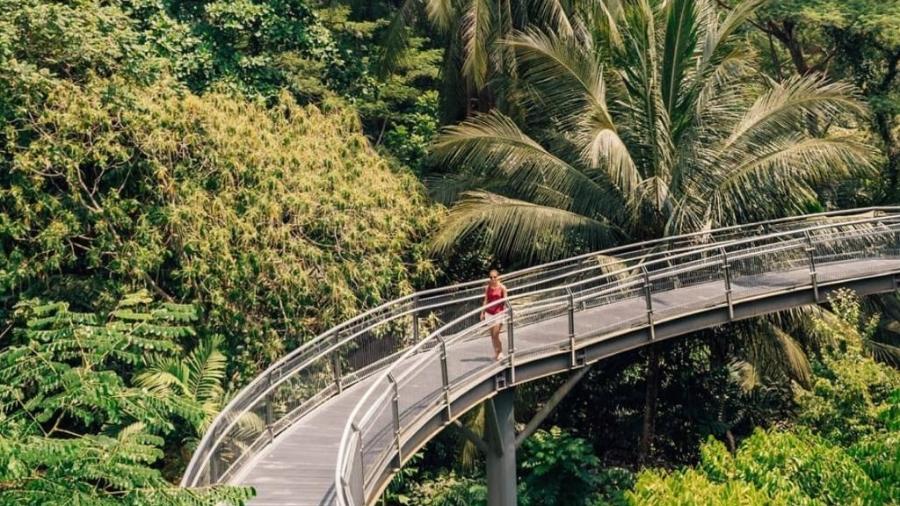 Southern Ridges, em Singapura; comprometimento com o verde é sério no pequeno país asiático Southern Ridges, em Singapura; comprometimento com o verde é sério no pequeno país asiático