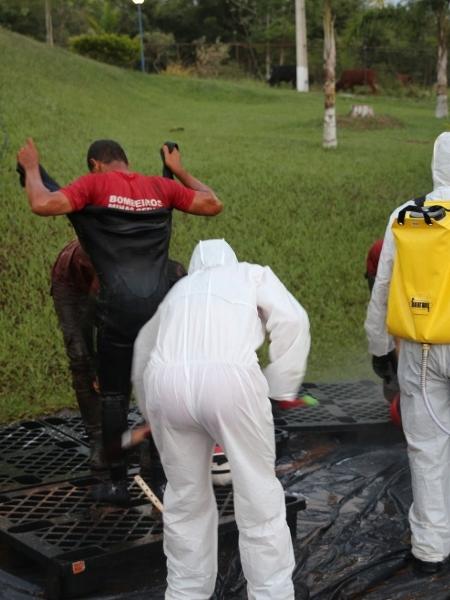 Corpo de Bombeiros Militar de MG/Divulgação