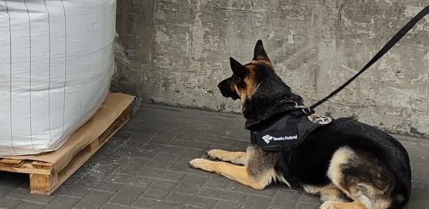 no porto | Receita Federal apreende 853 kg de cocaína em Santos