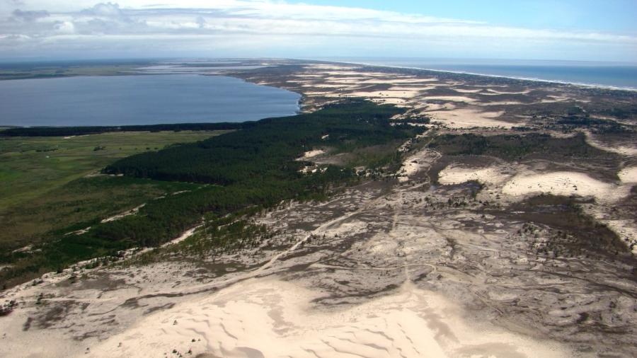 Trecho da lagoa Mangueira, no município de Curral Alto (RS): mais de 18 km de pinheiros em região que devia ser de dunas - MapBiomas/Divulgação