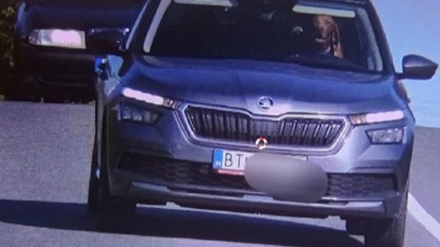 Ao passar em velocidade acima do permitido em estrada na Eslováquia, carro é flagrado por câmera com cão ao volante