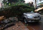 Temporal derruba dezenas de árvores em São Paulo; veja imagens - Roberto Sungi/Ato Press/Folhapress