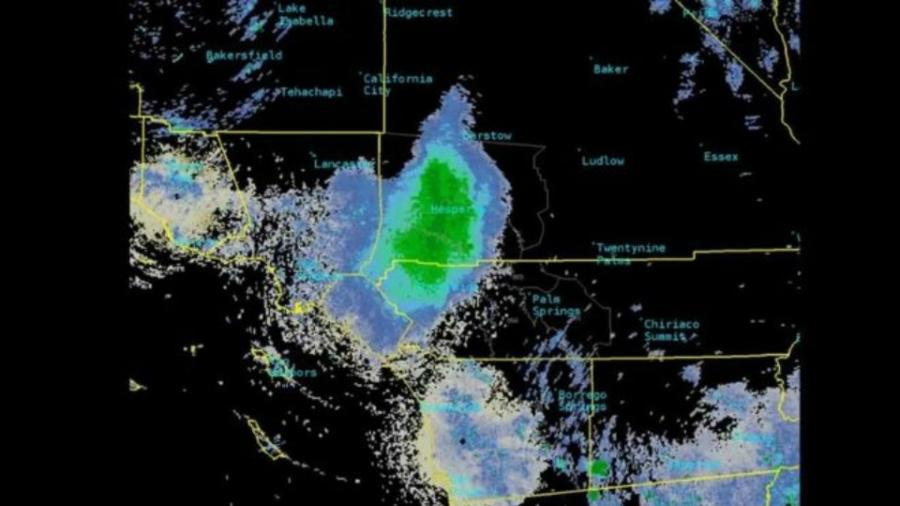 Nuvem de joaninhas de 17 km de extensão confundiu satélites no céu da Califórnia - Reprodução/Twitter