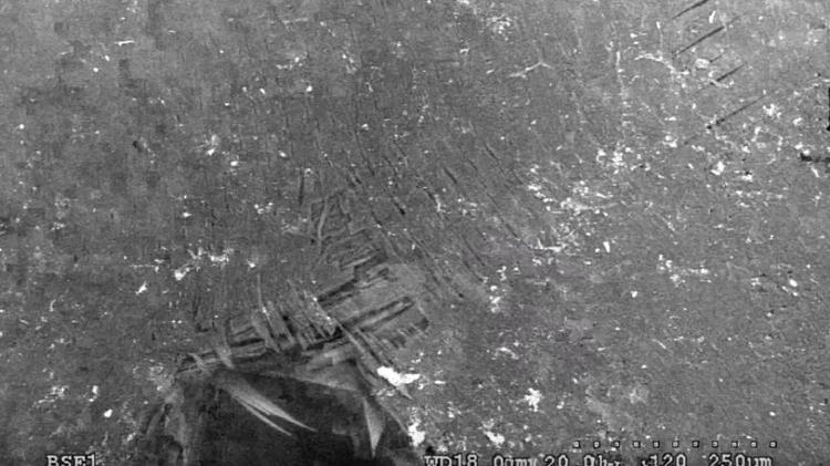 Imagem a nível microscópico mostra mecanismos de deformação em camadas das escamas sob impacto - Divulgação/via BBC