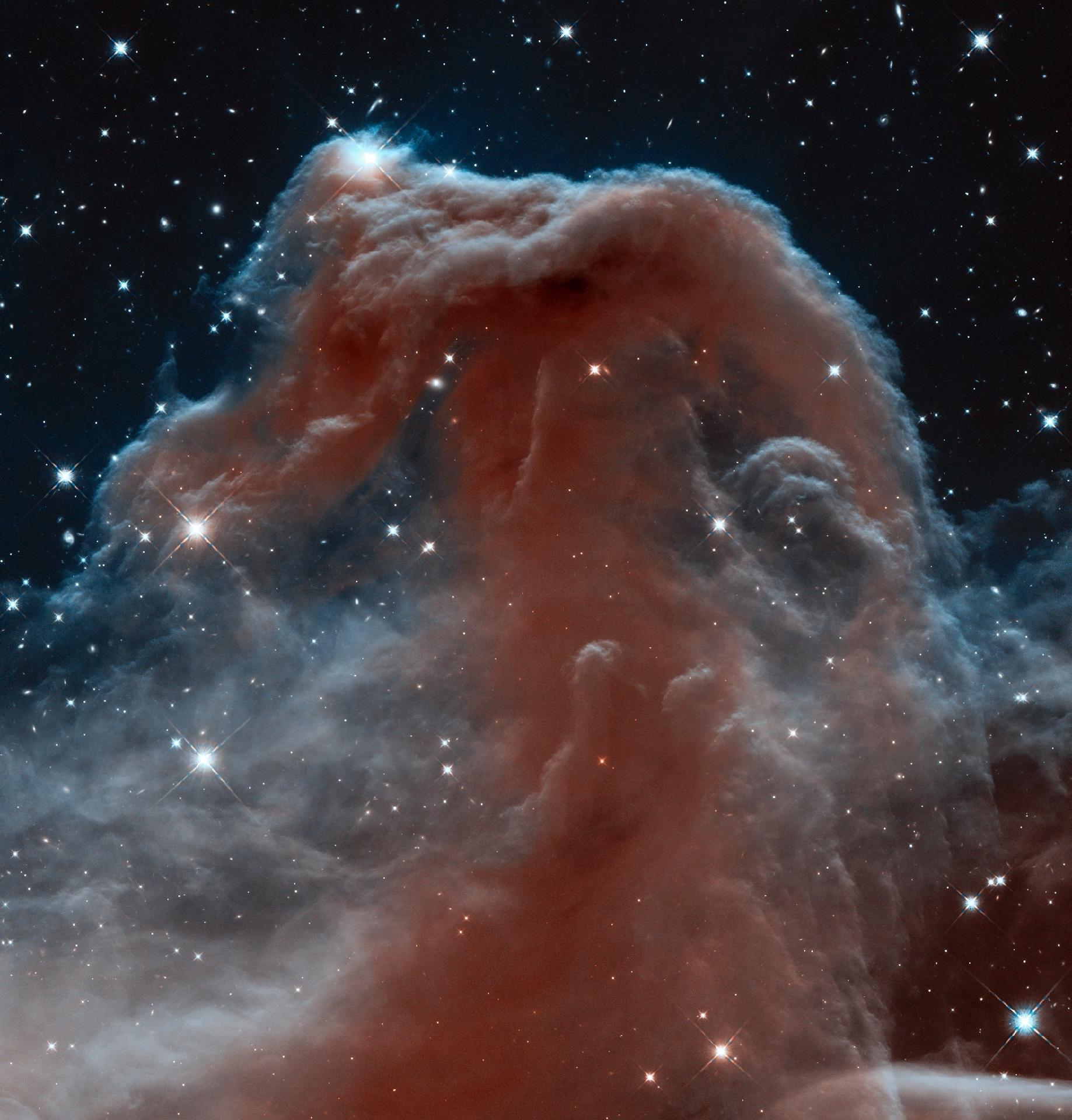 2013 - Nebulosa Cabeça de Cavalo - Essa nebulosa, também conhecida como Barnard 33, fica na constelação de Orion. Nessa foto, a nebulosa aparece em comprimentos de onda infravermelhos. - NASA