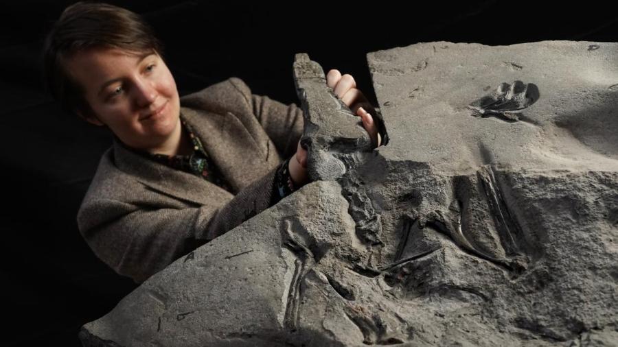 Natalia Jagielska assumiu os estudos sobre o fóssil raro encontrado na Escócia. - Divulgação/Universidade de Edimburgo