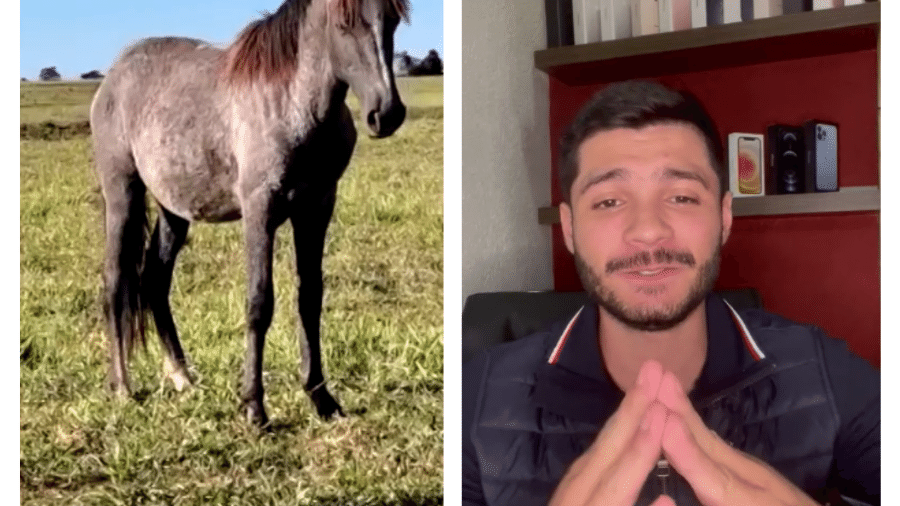 O estudante Diogo Machado, 24, comprou um cavalo num leilão, saiu para beber e depois esqueceu - Arquivo Pessoal