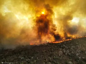 Incêndios e seca na Amazônia e no Pantanal batem marcas históricas