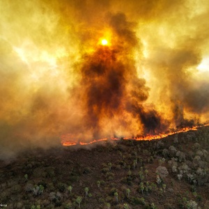 Incêndios e seca na Amazônia e no Pantanal batem marcas históricas