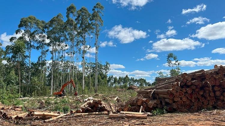 Obras do empreendimento em Eldorado do Sul têm investimento inicial de R$ 3 bilhões Obras do empreendimento em Eldorado do Sul têm investimento inicial de R$ 3 bilhões