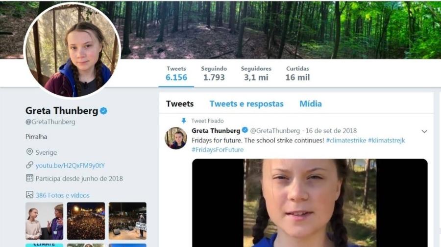 A ativista Greta Thunberg muda sua descrição no Twitter para "Pirralha" após ser criticada por Bolsonaro   - Reprodução/Twitter