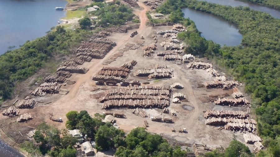 Carga de madeira apreendida na Operação Handroanthus GLO, no Pará - Divulgação/Polícia Federal