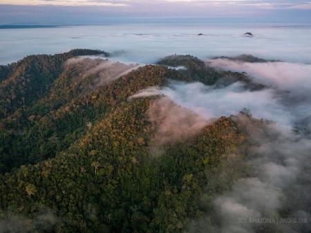 Parque Nacional da Serra do Divisor, no Acre, que será impactado por rodovia projetada pelo governo Bolsonaro na Amazônia - André Dib