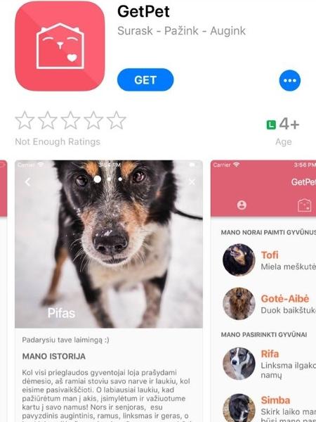 GetPet, o "Tinder" lituano de adoção de cães - Reprodução