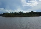 Ilha flutuante desprendida da Ilha de Marajó é removida de rio após 3 dias - Prefeitura de Afuá/Reprodução de vídeo