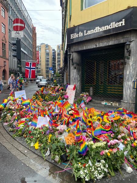 Homenagem às vítimas de ataque em Oslo, na Noruega - Reprodução/Twitter Véronique Revoy