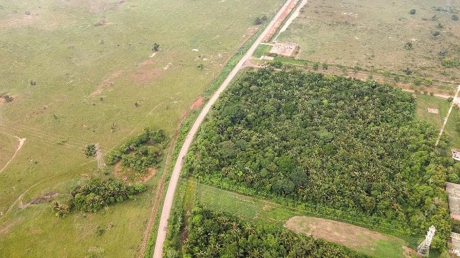 Fazenda de criação de gado ao redor da Terra Indígena Mãe-Marisa, do Povo Gavião, no sudeste do Pará - Cícero Pedrosa Neto