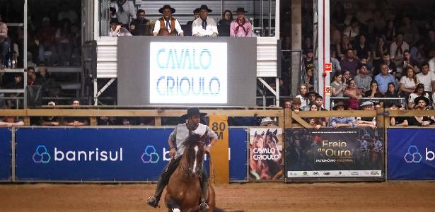 Em feira vitrine na Expointer, cavalo da raça crioulo chega a R$ 22 milhões