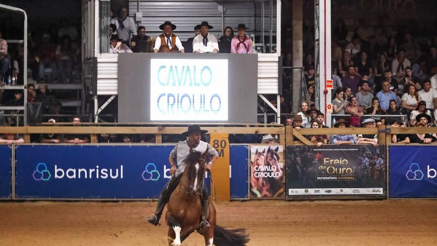 Governador Eduardo Leite (PSDB/RS) acompanha prova Freio de Ouro, de cavalos crioulos, na Expointer