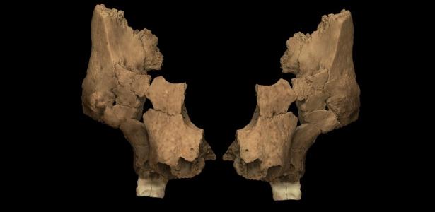 'Pink': rosto mais antigo do oeste europeu revela segredos da evolução humana