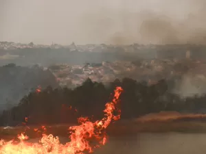 Focos de incêndio em SP aumentaram 338% e estão fora do pico climático