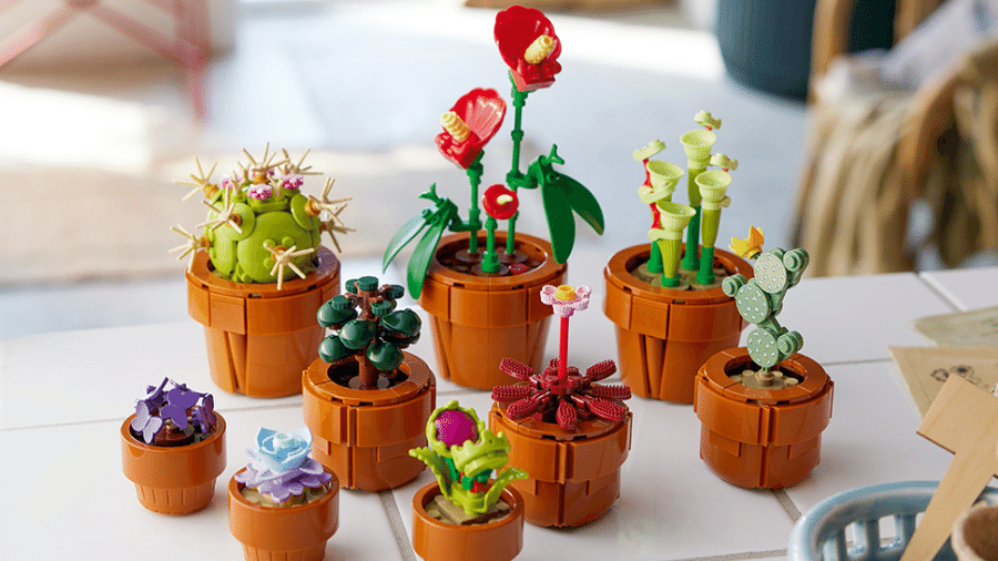 Conjunto de plantas em miniatura é ideal para decoração em casa ou escritório