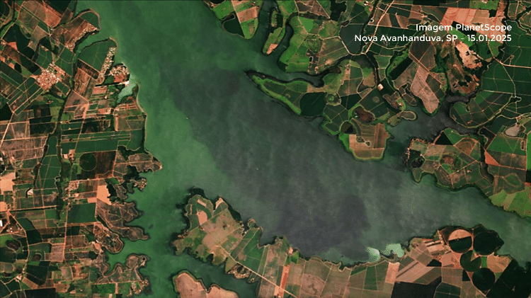 Rio Tietê na região de Araçatuba, em 15 de janeiro de 2025, apenas com as margens esverdeadas pela presença de algas