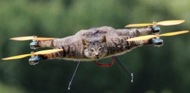 Bart Jansen quis fazer uma homenagem a seu gato que morreu e o trnasformou em um drone - Bart Jansen