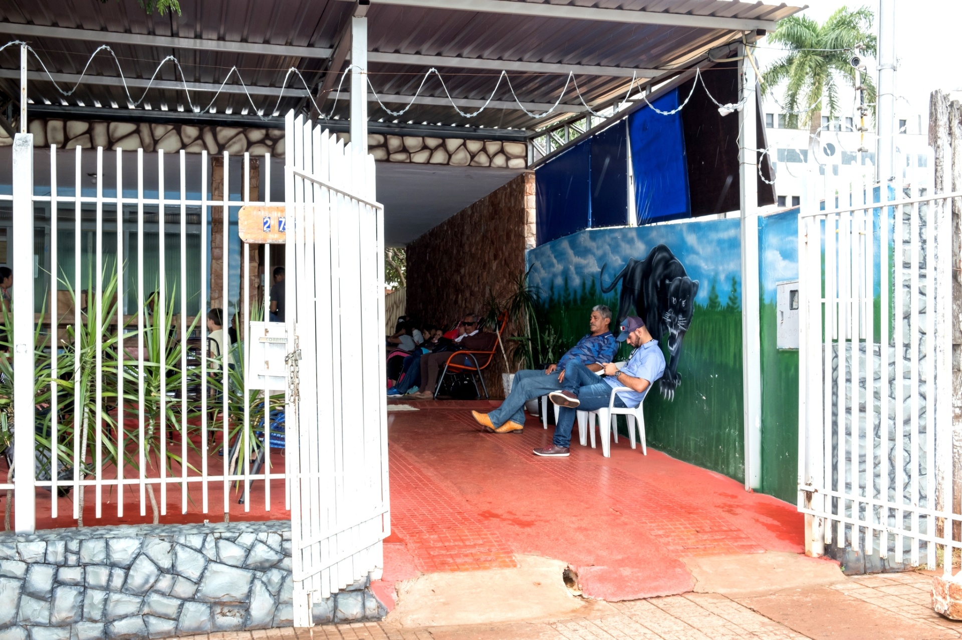 Elis Regina Nogueira