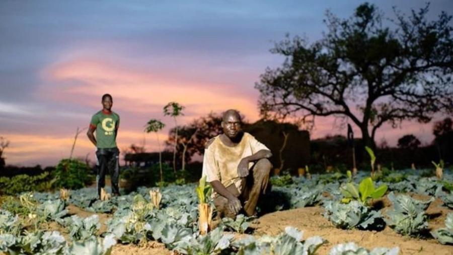 Investimentos - como compra de uma bomba d"água para irrigação - podem fornecer uma renda agrícola sustentável para agricultores como Sanfo Karim, em Burkina Faso - OLLIVIER GIRARD/CIFOR