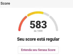 É possível chegar na pontuação 1.000 da Serasa? Saiba como aumentar score