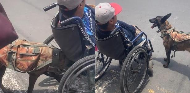 Un perro cruza una calle cargando a un hombre en silla de ruedas en México