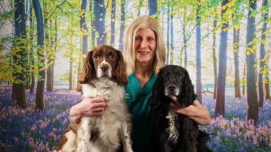 A veterinária Angie Shaw conseguiu tratar um câncer a tempo graças a um acidente com labrador  - Divulgação/Beechwood Vets