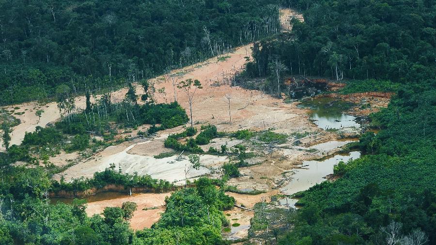 Governo encontra garimpo próximo a povos isolados na TI Yanomami - Leo Otero/ MPI 