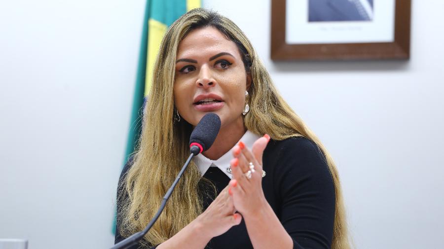 Deputada federal Silvye Alves (União Brasil-GO) em audiência pública - Vinicius Loures/Câmara dos Deputados