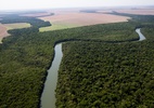 Novo trem na Amazônia ignora 4 ferrovias e pode devastar um estado do Rio - Tiago Queiroz/Estadão Conteúdo