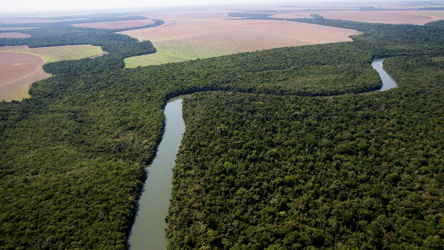 Área desmatada entre Sinop e Brasnorte, no Mato Grosso, para plantação de soja e pastagem para gado