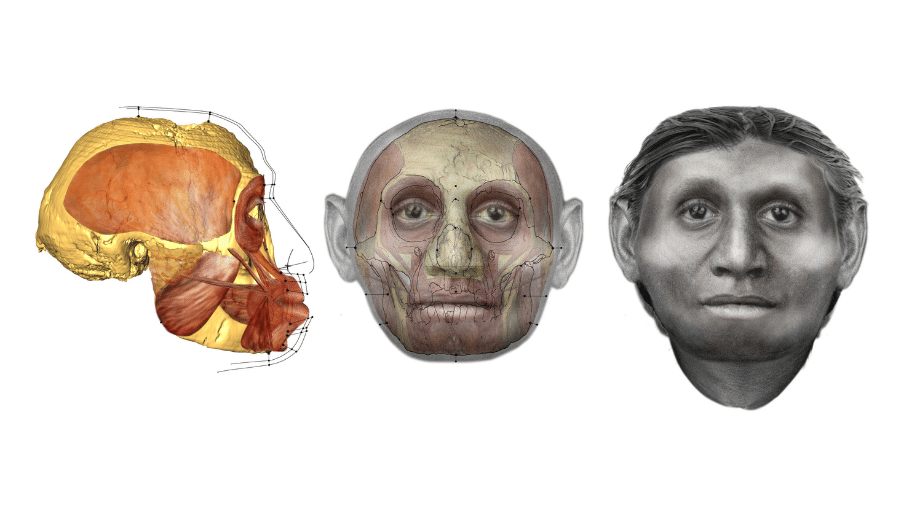 Ilustração mostra pequena cabeça da espécie extinta Homo floresiensis, mais conhecida como 'hobbit'