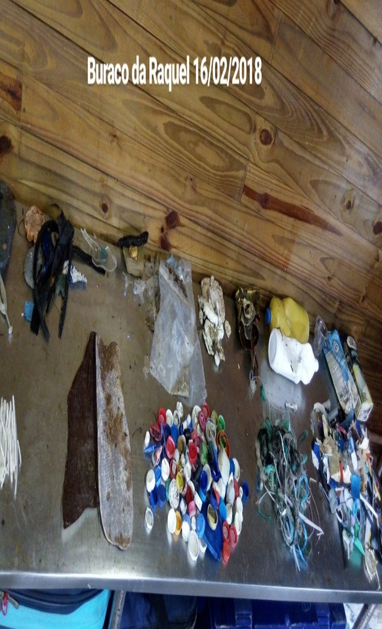 Ana Carolina Grillo Monteiro