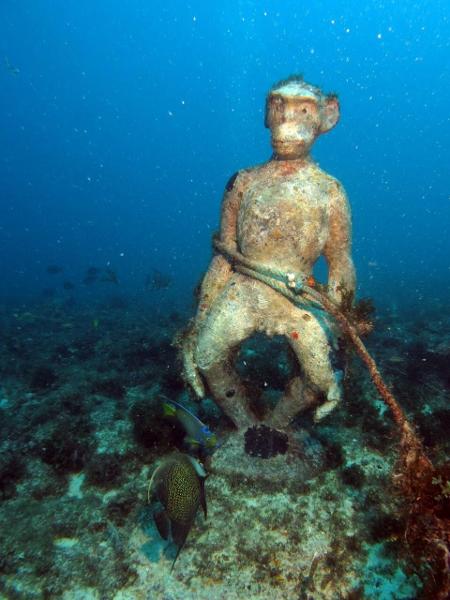 Estátua de macaco é encontrada a 25 m de profundidade no mar no Ceará - Labomar (Instituto de Ciências do Mar)