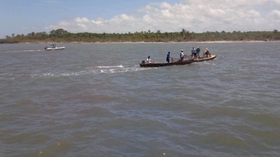 Pescadores usam as próprias redes para tentar tirar o óleo do mar na Bahia - Divulgação