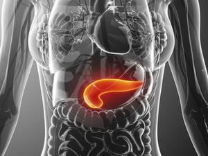 O pâncreas (destacado em laranja) é uma glândula responsável pela fabricação do hormônio insulina - GETTY IMAGES - GETTY IMAGES