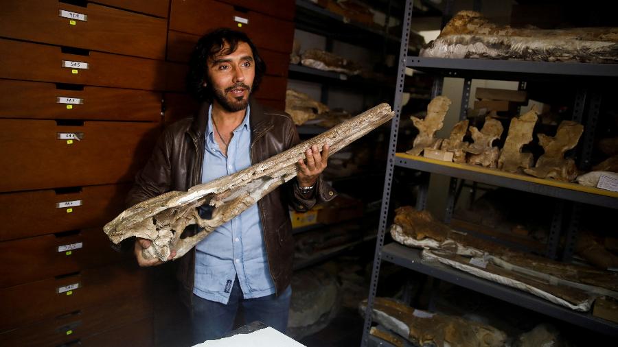 Rodolfo Salas-Gismondi, diretor do departamento de paleontologia do Museu de História Natural da Universidade Nacional Mayor de San Marcos, mostra os restos fósseis do crocodilo  - Reuters