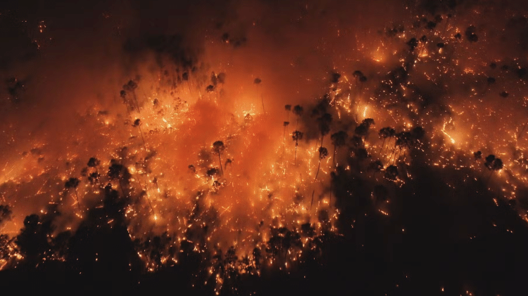 No início de setembro, a Floresta Nacional de Brasília foi tomada por focos de incêndio