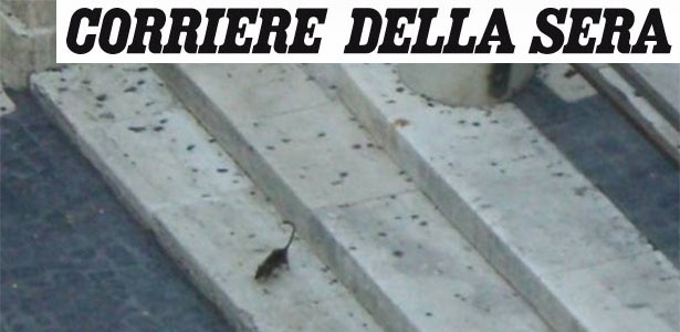 21.jul.2015 - Rato caminha pela Fontana di Trevi, em Roma - Corriere della Sera/Reprodução