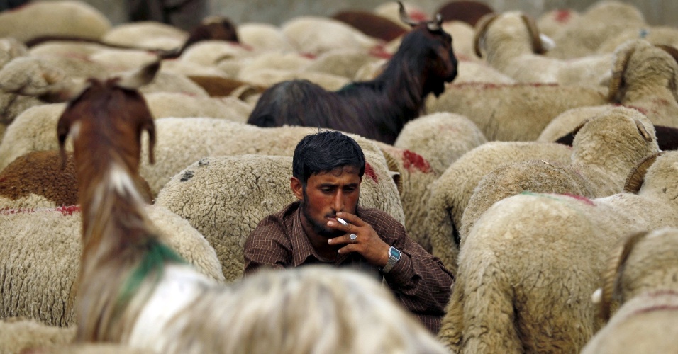 21.set.2015 - Um nômade fuma perto de cabras e ovelhas  que estão a venda em um mercado de gado, em Srinagar, na Índia