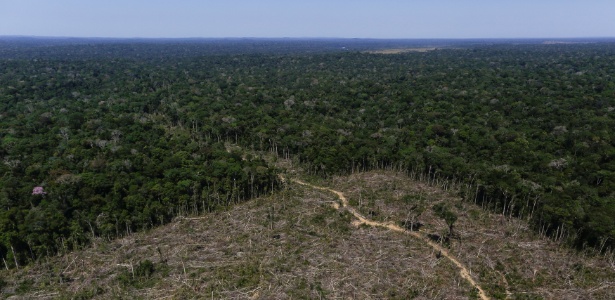 Área de desmatamento em Apuí (AM) é registrada em imagem aérea durante "Operação Área Verde", realizada pelo Ibama - Bruno Kelly/Reuters