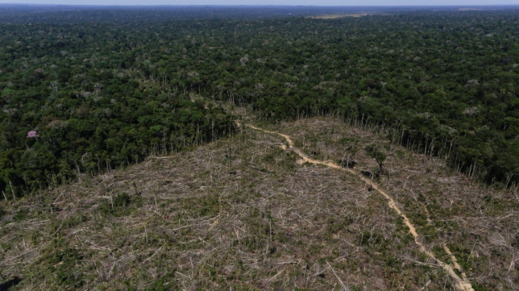 Fórum Econômico Mundial | Pobres são vítimas, não culpados por destruição ambiental, dizem entidades