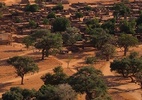 A incrível descoberta de centenas de milhões de árvores no deserto do Saara - Martin Brandt