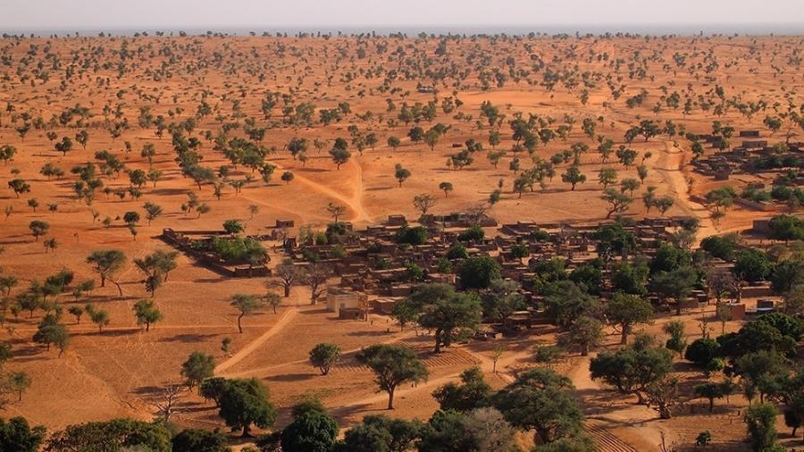 O Saara e o Sahel têm muito mais árvores do que se pensava - Martin Brandt